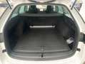 Skoda Octavia Combi 2.0 TDI DSG Style NAVI-COLUMBUS+ST Weiß - thumbnail 12