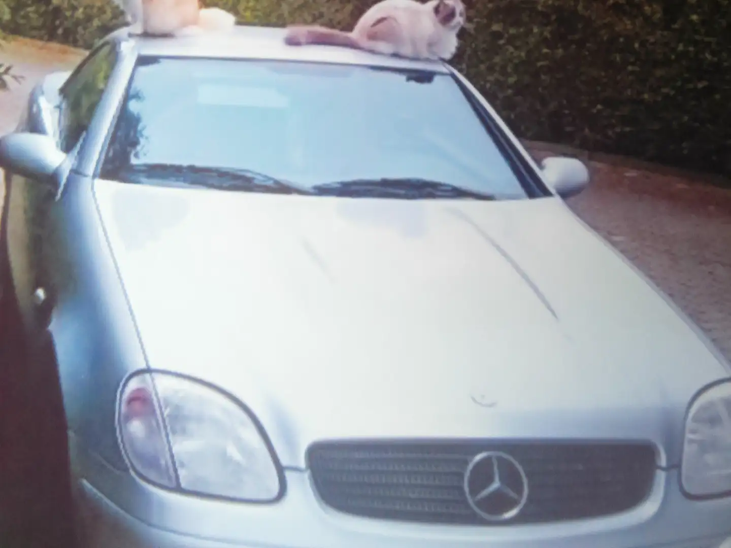 Mercedes-Benz SLK 200 SLK 200 Silber - 1