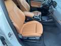 BMW X3 xDrive20d 48V Msport +TETTO Blanc - thumbnail 8