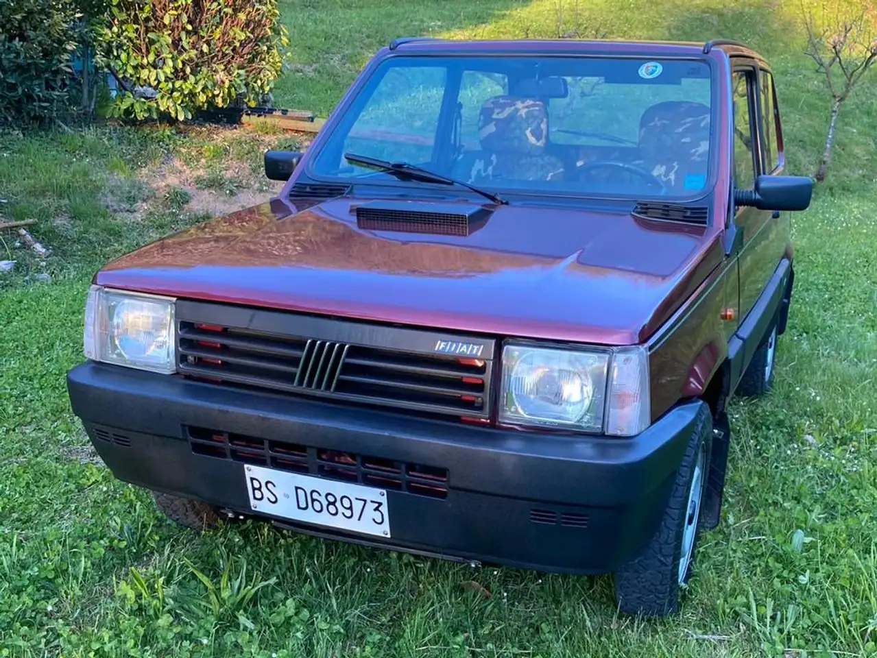 Fiat Panda 1.0 Europa Trekking 4x4, foto 1