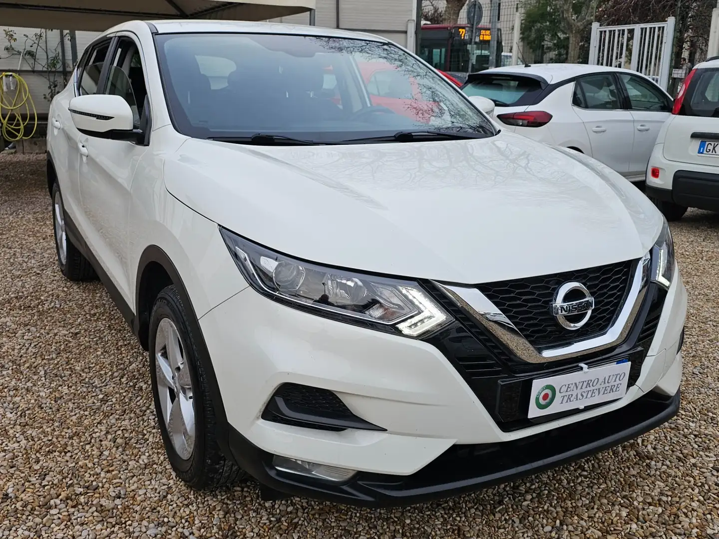Nissan Qashqai 1.5 dCi 115 CV Business Blanc - 2