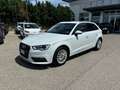 Audi A3 Audi A3 1.6TDI Ambiente Weiß - thumbnail 1