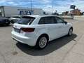 Audi A3 Audi A3 1.6TDI Ambiente Weiß - thumbnail 5