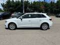 Audi A3 Audi A3 1.6TDI Ambiente Weiß - thumbnail 8