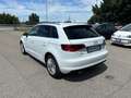 Audi A3 Audi A3 1.6TDI Ambiente Weiß - thumbnail 7