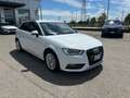 Audi A3 Audi A3 1.6TDI Ambiente Weiß - thumbnail 3