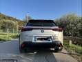 Lexus UX 250h business Argento - thumbnail 4