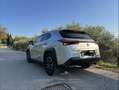 Lexus UX 250h business Argento - thumbnail 6