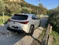 Lexus UX 250h business Argento - thumbnail 5