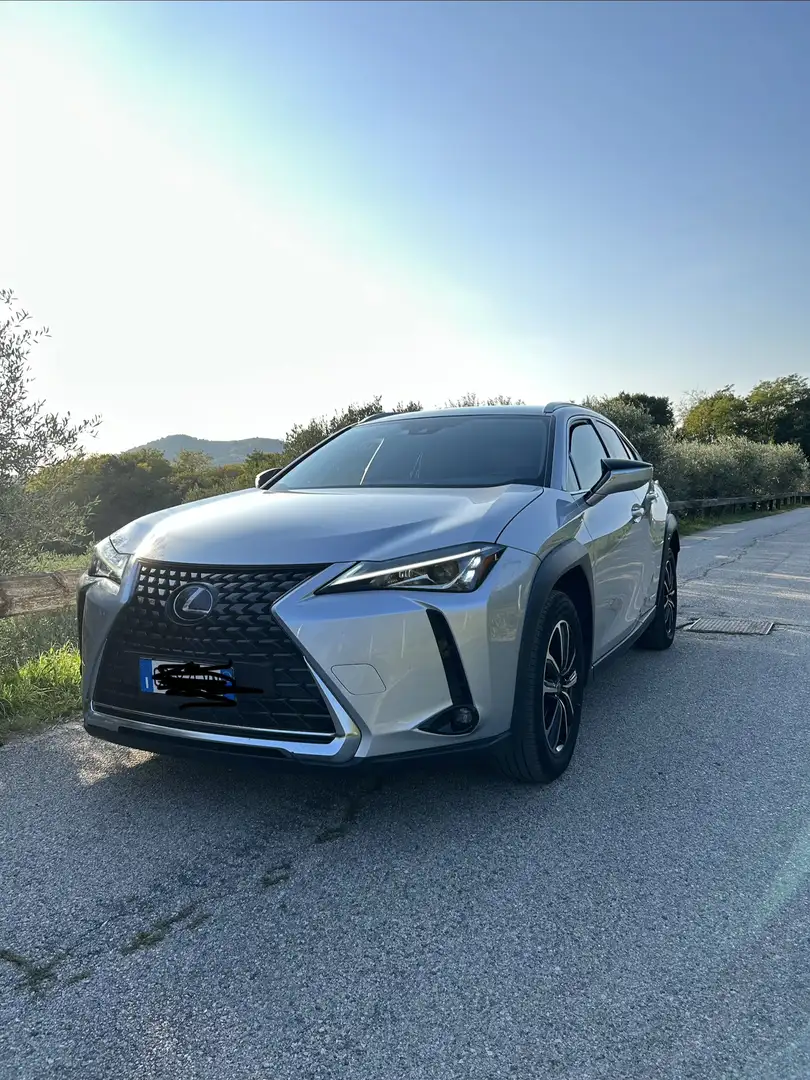 Lexus UX 250h business Argento - 1