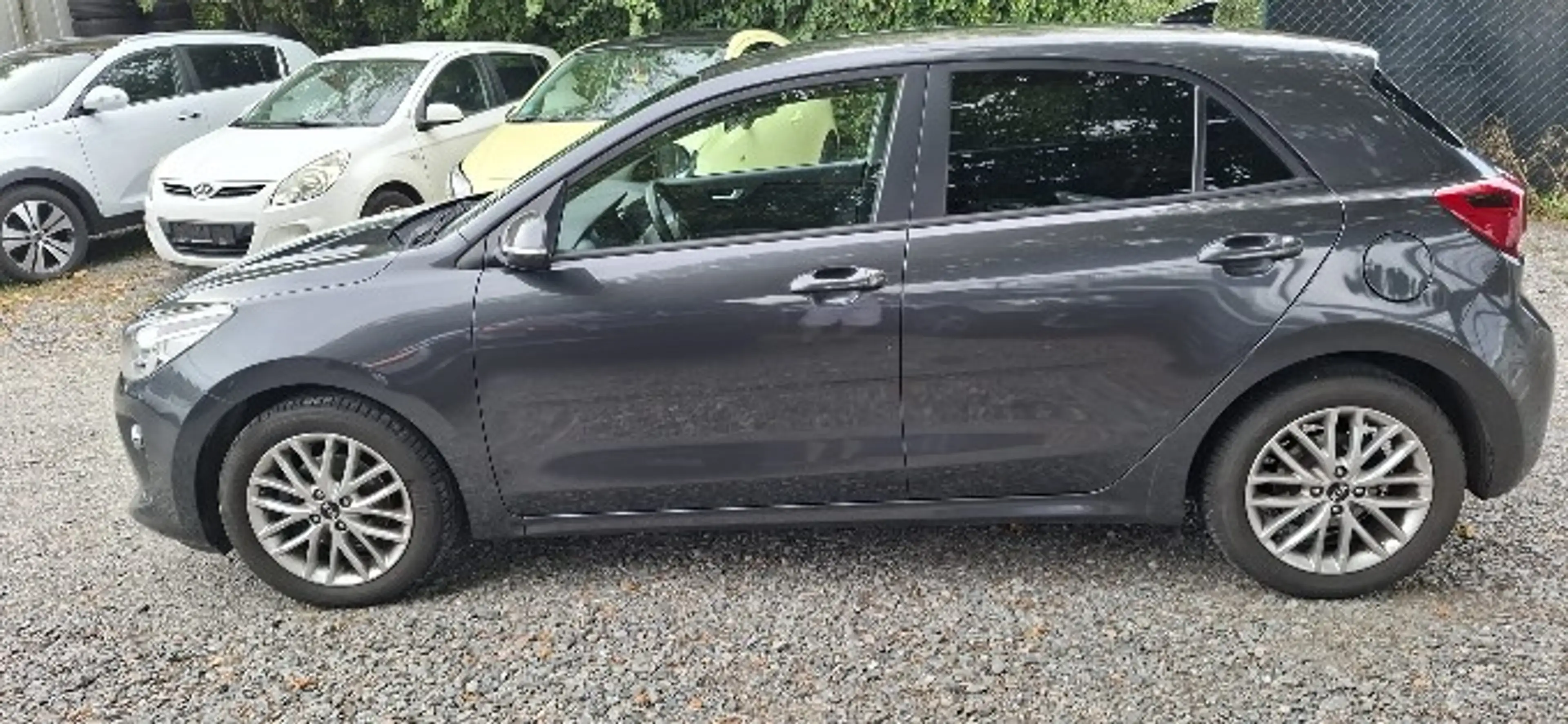 Kia Rio Rio Fließheck 1.0 T-GDI 100 Dream-Team Modell 2019 — photo 4