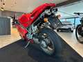 Ducati 998 998 Biposto Testastretta* Sammlerzustand* FINANZIE Rood - thumbnail 4