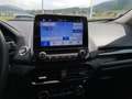 Ford EcoSport 1,0 EcoBoost ST-Line Rot - thumbnail 8