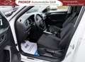 Volkswagen T-Roc Active Kamera LED Navi WiPa Spiegel-Paket Garantie Weiß - thumbnail 19
