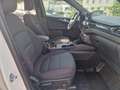 Ford Kuga Plug-In Hybrid ST-Line Weiß - thumbnail 12
