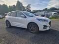 Ford Kuga Plug-In Hybrid ST-Line Weiß - thumbnail 4