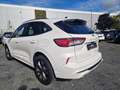 Ford Kuga Plug-In Hybrid ST-Line Weiß - thumbnail 8