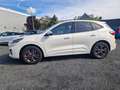 Ford Kuga Plug-In Hybrid ST-Line Weiß - thumbnail 1