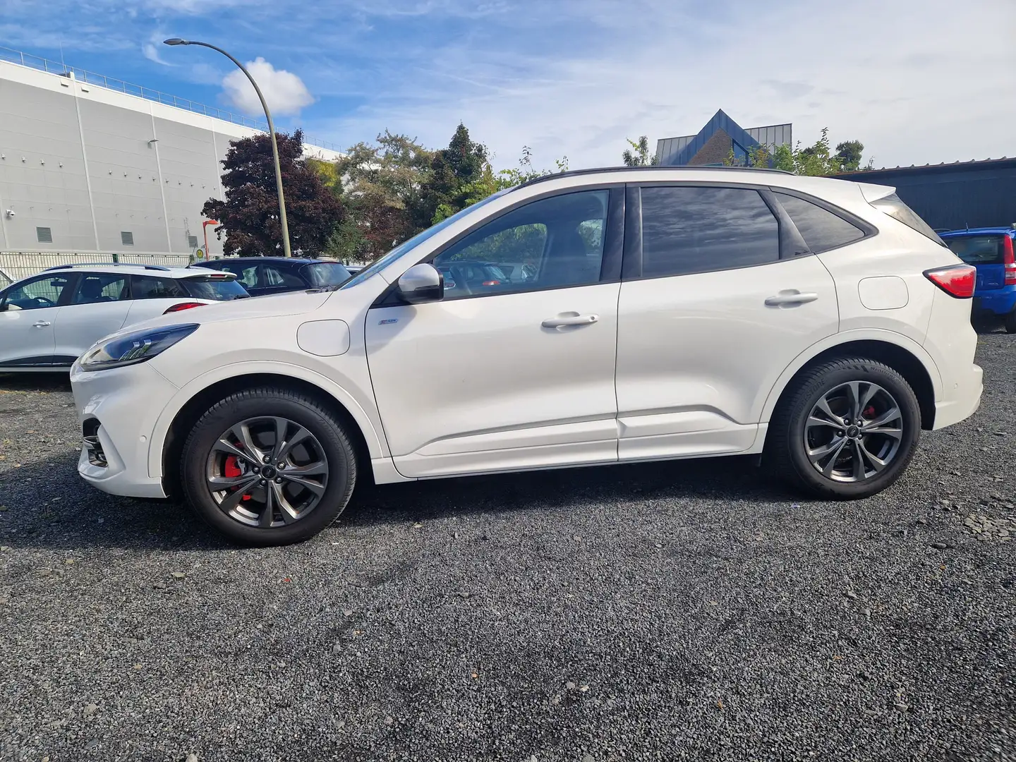 Ford Kuga Plug-In Hybrid ST-Line Weiß - 1