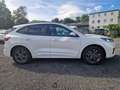 Ford Kuga Plug-In Hybrid ST-Line Weiß - thumbnail 5