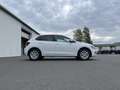 Volkswagen Polo 1.0 TSI Highline Active Info Navi LED SHZ PDC Klim Blanc - thumbnail 5