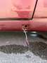 Mercedes-Benz 230 Rot - thumbnail 4
