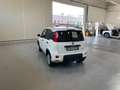 Fiat Panda 1.0 S&S HYBRID 70CV Bianco - thumbnail 5