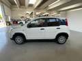 Fiat Panda 1.0 S&S HYBRID 70CV Bianco - thumbnail 4