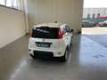 Fiat Panda 1.0 S&S HYBRID 70CV Bianco - thumbnail 7