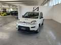 Fiat Panda 1.0 S&S HYBRID 70CV Bianco - thumbnail 3