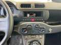 Fiat Panda 1.0 S&S HYBRID 70CV Bianco - thumbnail 15