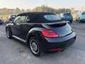 Volkswagen Maggiolino Maggiolino Cabrio 1.2 TSI Design Schwarz - thumbnail 8