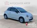 Fiat 500 1.0 hybrid 70cv Weiß - thumbnail 8