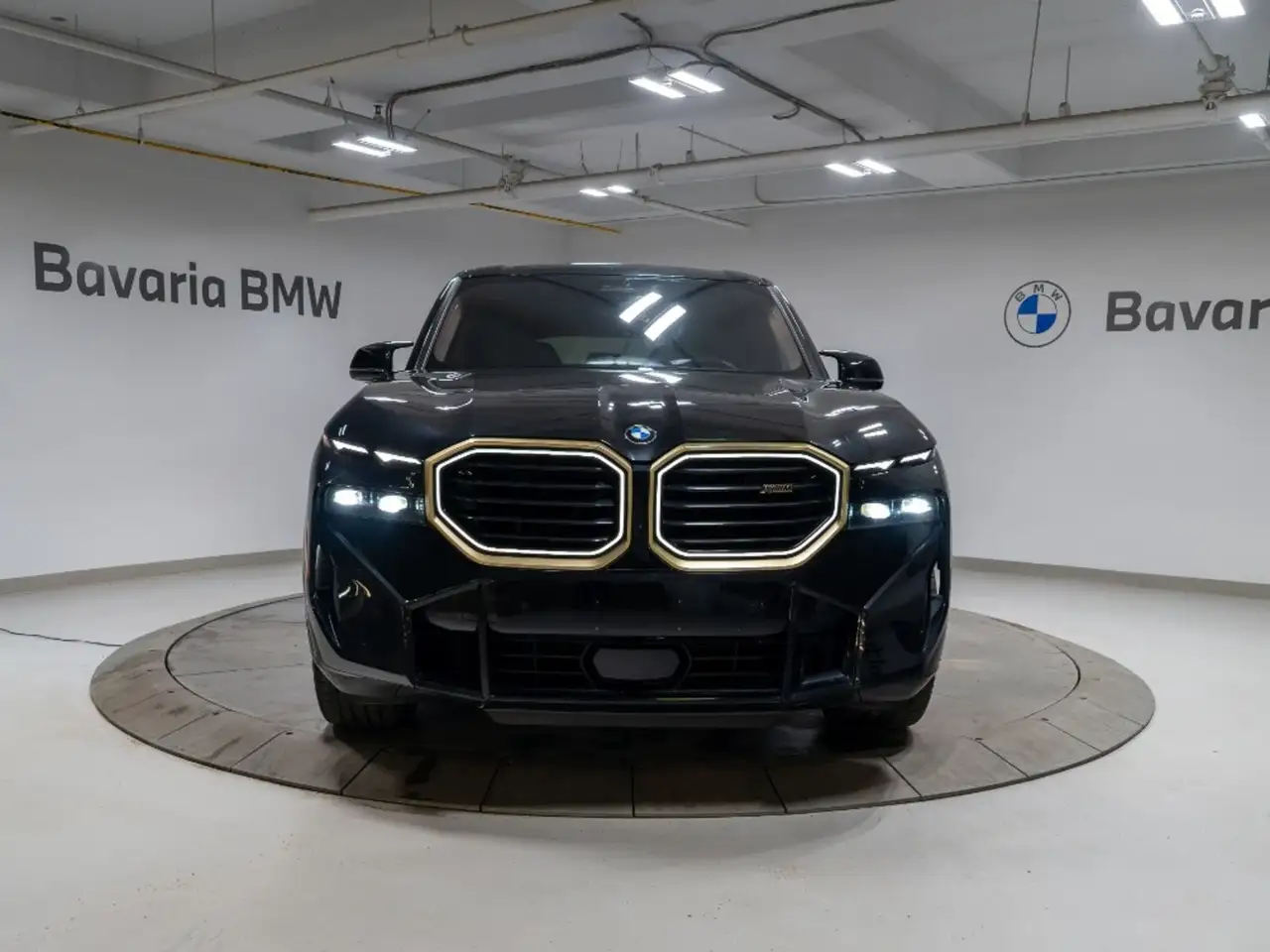 BMW XM снимка BMW XM