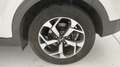 Kia Sportage 4ª SERIE 1.6 CRDI 136 CV 2WD MILD HYBRID BUSINESS Bianco - thumbnail 12
