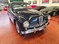 Alfa Romeo 1900 Bleu - thumbnail 2