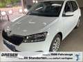 Skoda Fabia Cool Plus DAB Klima el.SP Spieg. beheizbar teilb.R Alb - thumbnail 1