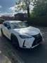 Lexus UX 250h UX 250h Amazing Edition - thumbnail 2