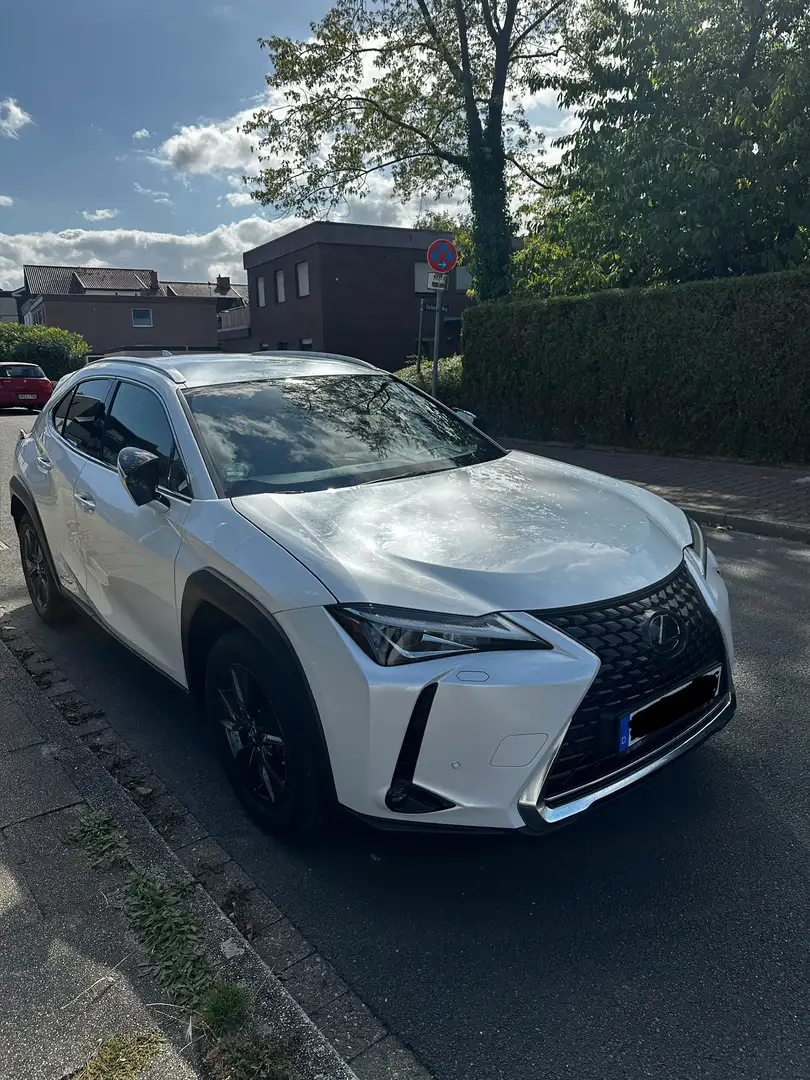 Lexus UX 250h UX 250h Amazing Edition - 2