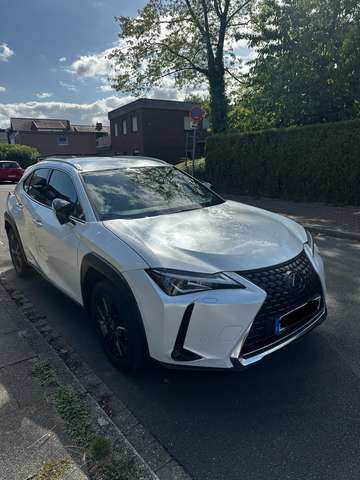 Lexus UX 250h UX 250h Amazing Edition