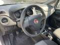 Fiat Punto 1.2 8V 5 porte Street Bianco - thumbnail 7