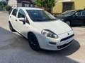 Fiat Punto 1.2 8V 5 porte Street Bianco - thumbnail 1