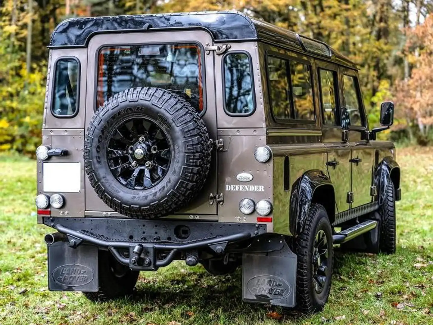 Land Rover Defender Defender 110 DPF Pick Up S Braun - 2