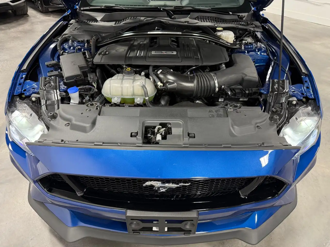 Ford Mustang снимка Ford Mustang