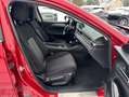 Mazda 6 SKYACTIV-G 194 SIGNATURE Rouge - thumbnail 7