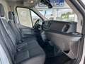 Ford Transit Kasten 350L3 Trend+PDC+Tempomat+DAB+SHZ+ Weiß - thumbnail 24
