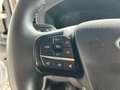 Ford Transit Kasten 350L3 Trend+PDC+Tempomat+DAB+SHZ+ Weiß - thumbnail 20