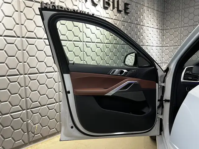 BMW X6 view 13