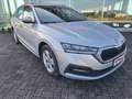 Skoda Octavia Wagon 1.5 g-tec Executive 130cv dsg Grigio - thumbnail 7