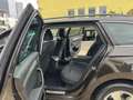 Skoda Superb Combi 2.0 TDI DSG Ambition ACC+AHK+LED+TOTWINKEL Braun - thumbnail 16